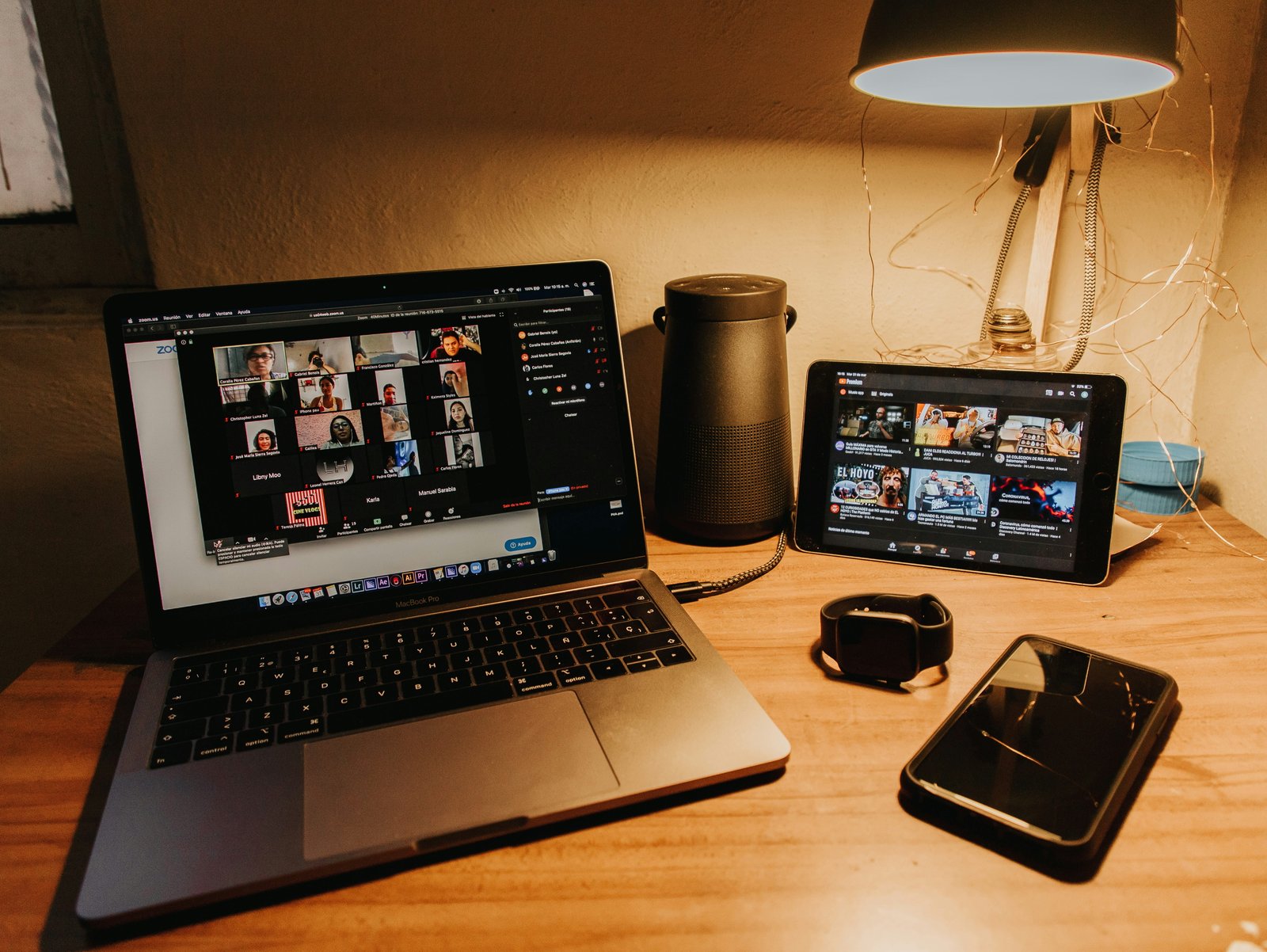 Program Webinar